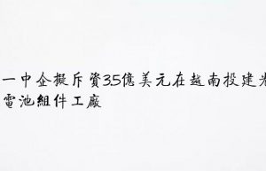 又一中企拟斥资3.5亿美元在越南投建光伏电池组件工厂