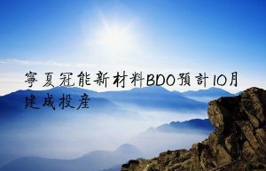 宁夏冠能新材料BDO预计10月建成投产