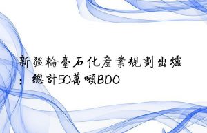 新疆轮台石化产业规划出炉：总计50万吨BDO