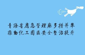 青海省应急管理厅多措并举推动化工园区安全整治提升