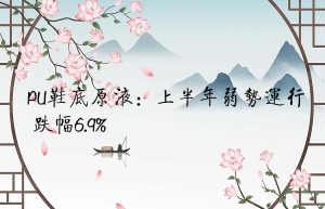 PU鞋底原液：上半年弱势运行 跌幅6.9%