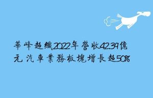 华峰超纤2022年营收42.39亿元 汽车业务板块增长超50%